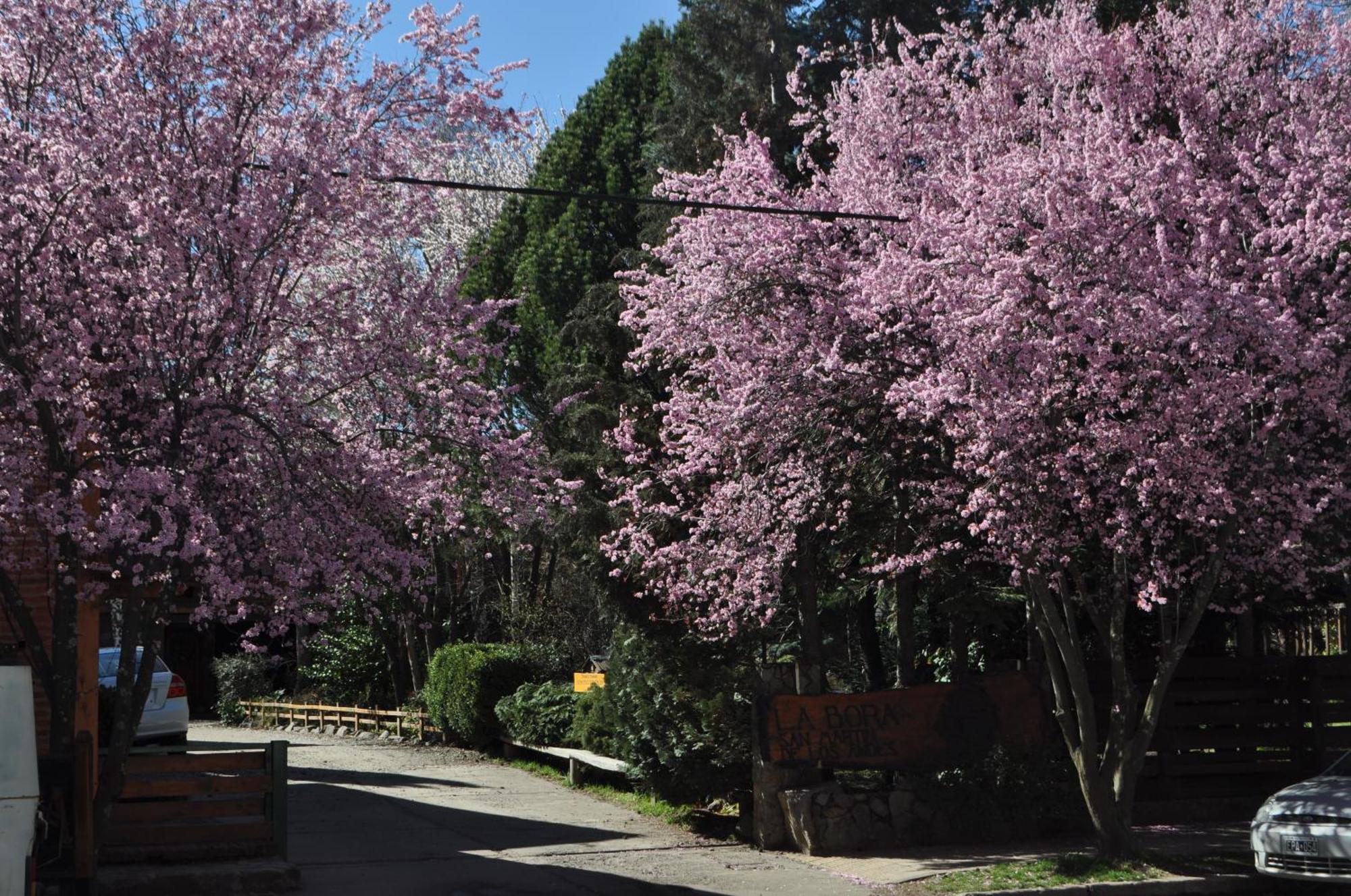 Apart Hotel La Bora San Martin de los Andes Bagian luar foto