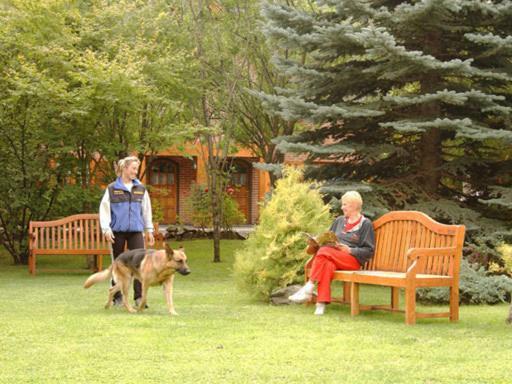 Apart Hotel La Bora San Martin de los Andes Bagian luar foto