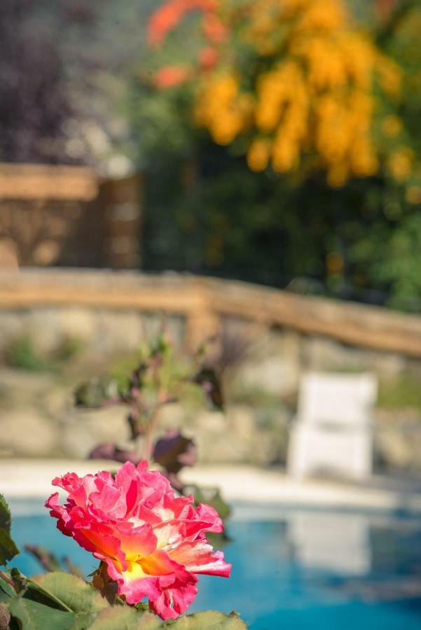 Apart Hotel La Bora San Martin de los Andes Bagian luar foto